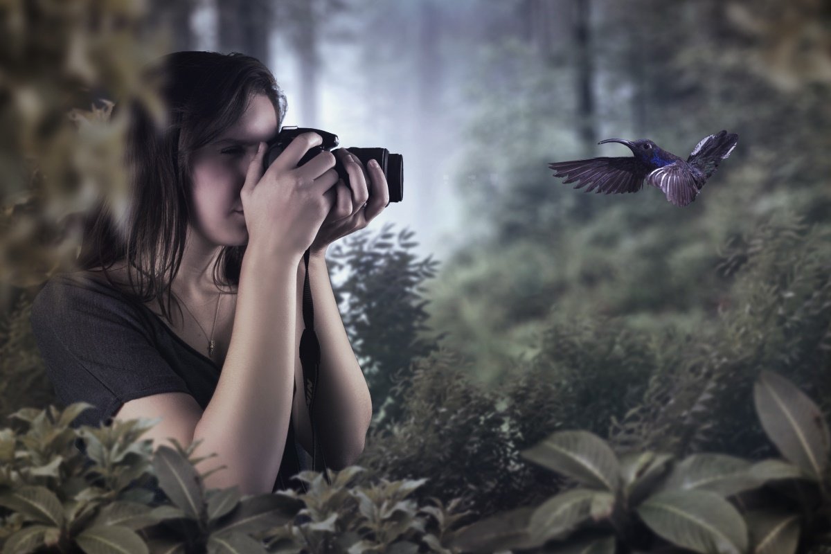 Bird watching on the Munyaga River Trail during the River Munyaga Falls Walk Buhoma