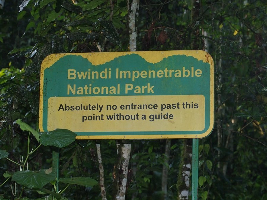 weather conditions in Bwindi forest national park 15 Weather conditions in Bwindi Forest National Park on a gorilla trekking morning