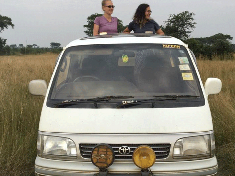 Car Hire
