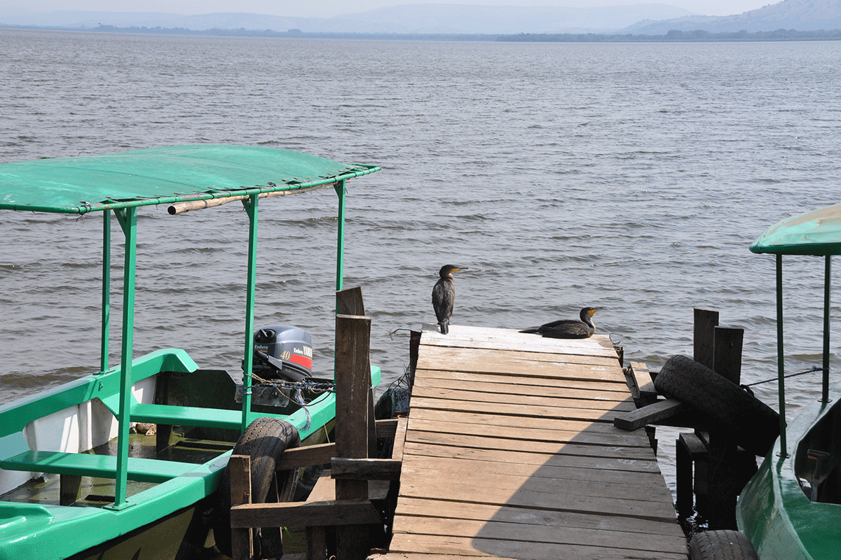 Birdwatching in Lake Mburo National Park Uganda