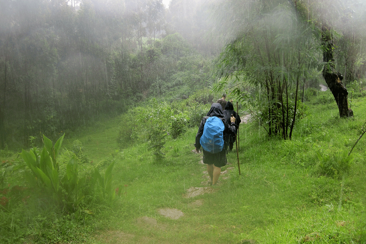 Rain protection for gorilla and chimpanzee trekking in Uganda