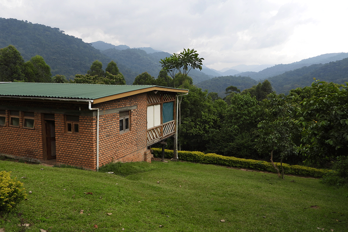 Buhoma landscape near the Munyaga Falls walk in Buhoma and Buhoma nature walk