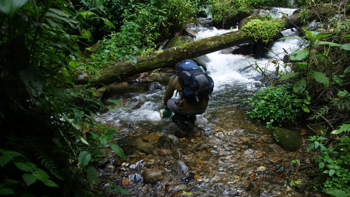 Rwenzori Mountains National Park in Uganda 2 Rwenzori Mountains National Park