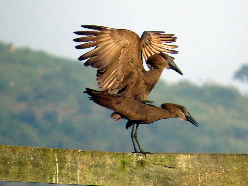 Ssese Islands in Uganda