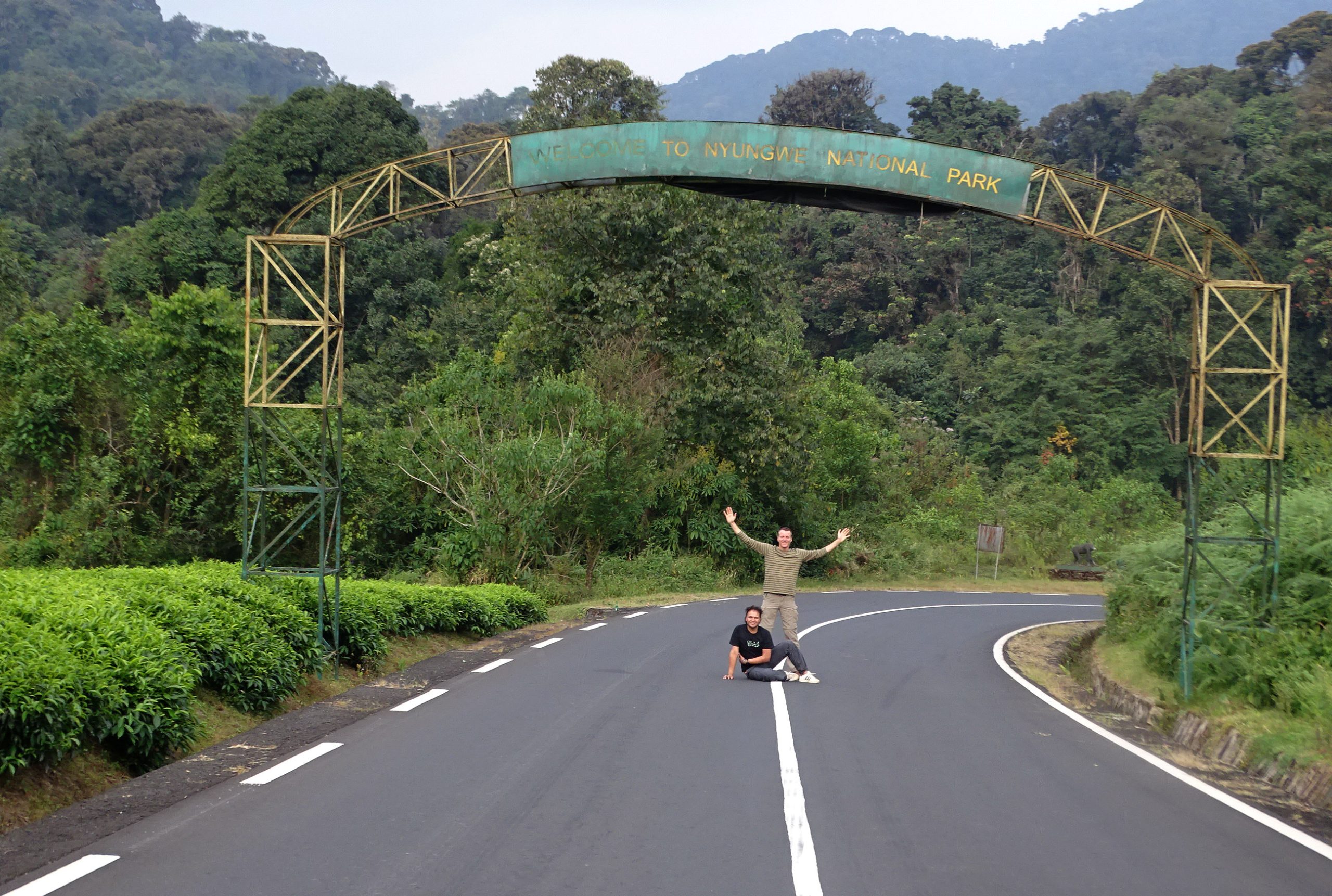 Chimpanzee Trekking and Wildlife