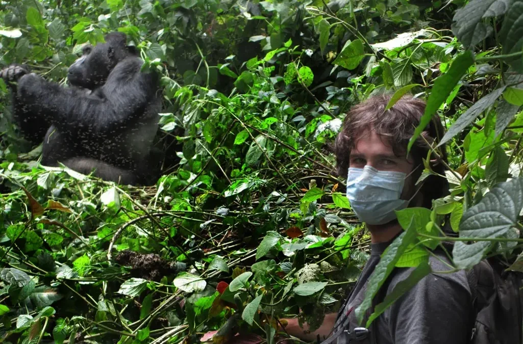2-Day Bwindi Gorilla Safari through Kigali 2 2-Day Bwindi Gorilla Safari through Kigali