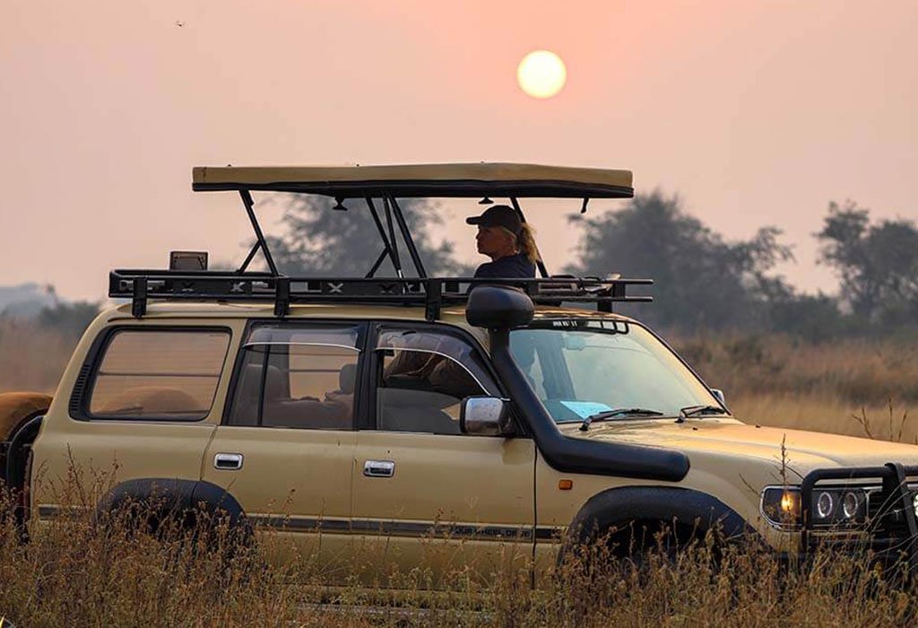 Uganda Visa for German Citizens 11 Uganda primate safari gorillas and chimpanzees