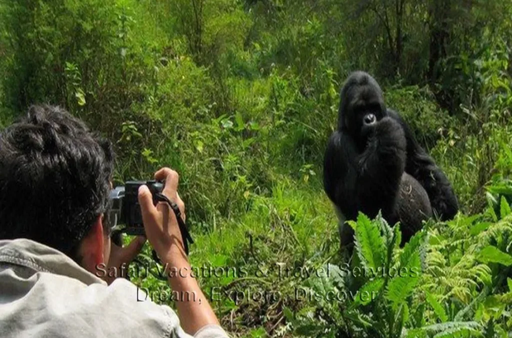 Altitude for Gorilla Trekking in Ruhija 2 Altitude for Gorilla Trekking in Ruhija