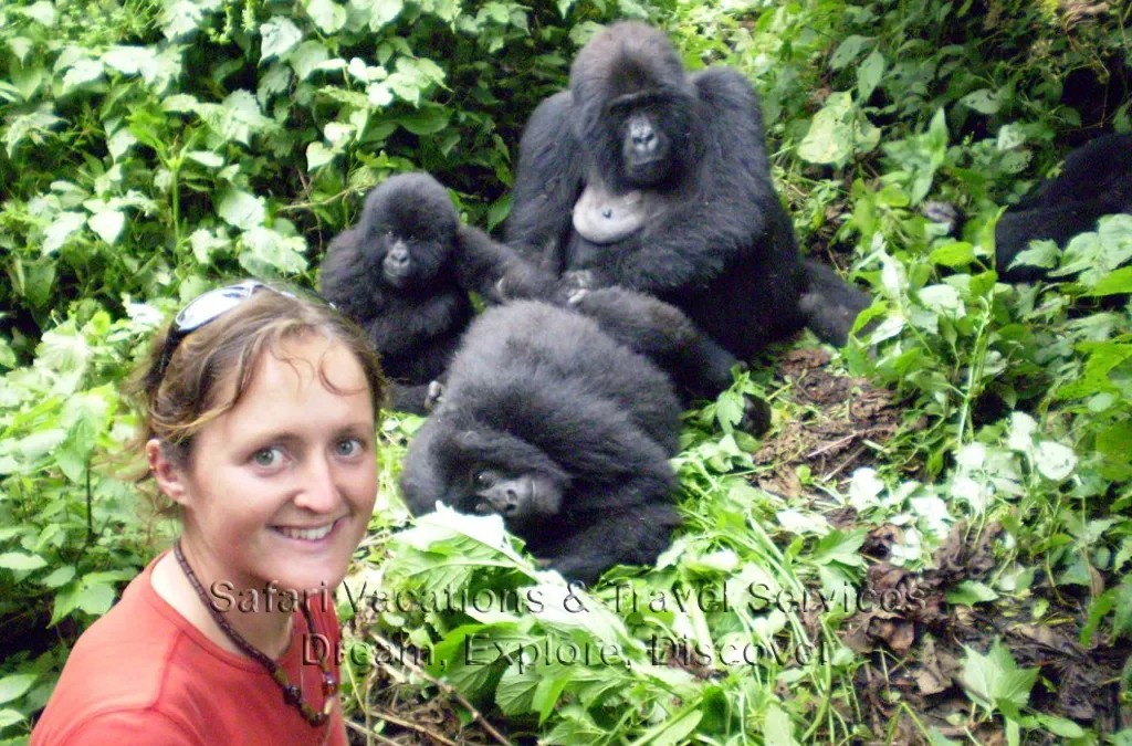 Gorilla Trekking Safari Booking 2 Gorilla Trekking Safari Booking