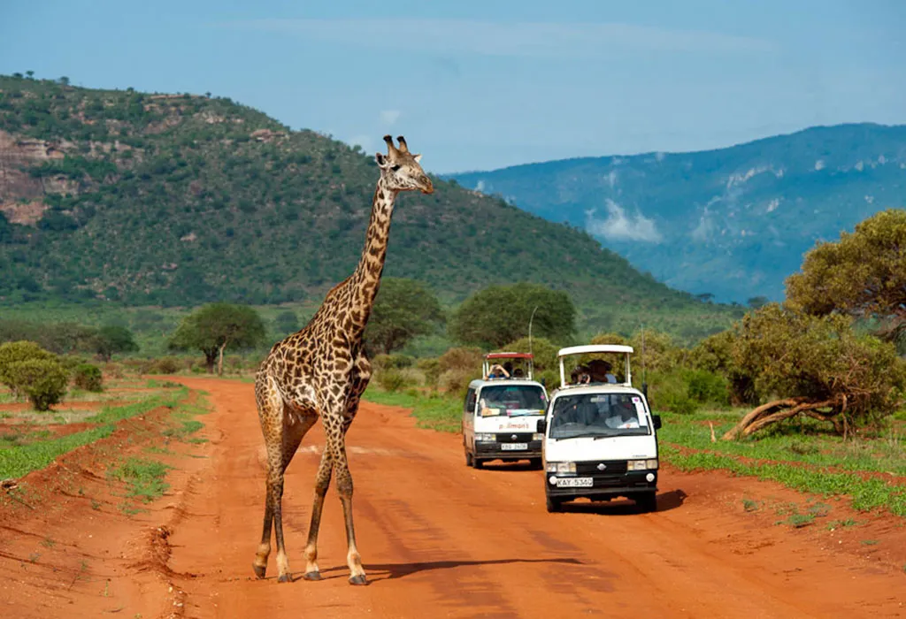 Kigali International Airport 9 Kigali airport transfer route to giraffes in Akagera National Park