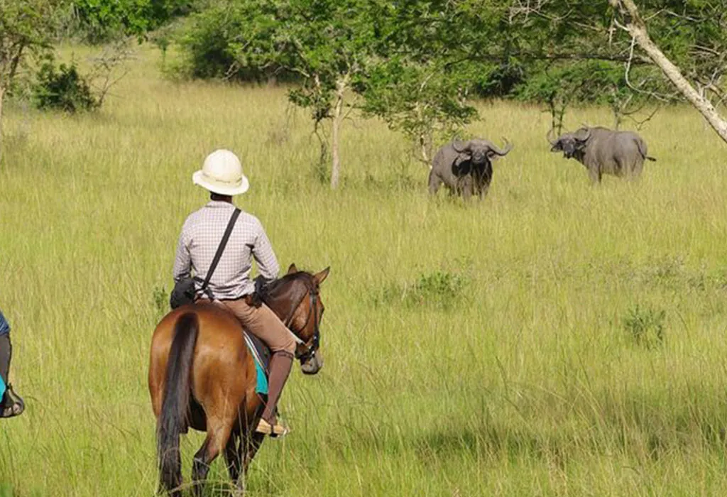 Horseback Safaris in Lake Mburo National Park Uganda