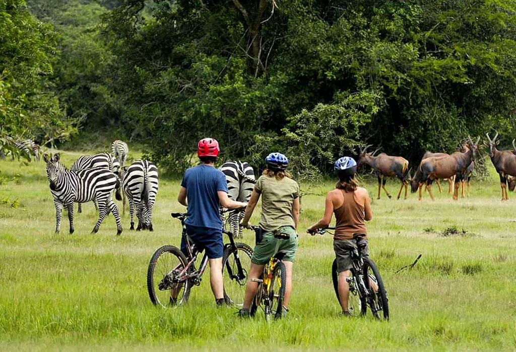 Beautiful Open Scenery in Lake Mburo National Park Uganda