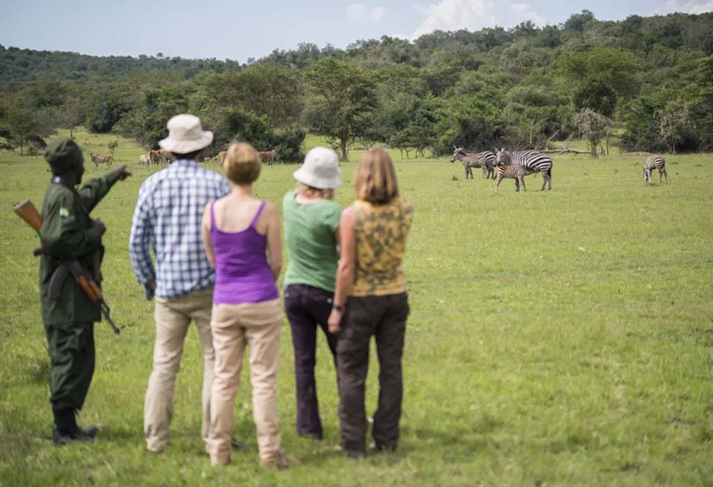 Guided Wildlife Walks in Lake Mburo National Park Uganda