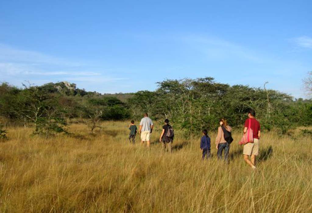 3 Day Lake Mburo wildlife, boat, and walking safari 4 Exploring Wonders of Lake Mburo National Park on a Nature Walk