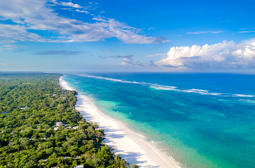 6 Days Kenya Wildlife and Diani Beach Safari 2 Kenya Wildlife and Diani Beach Safari