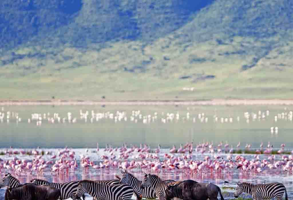 Ngorongoro Crater Tanzania safari