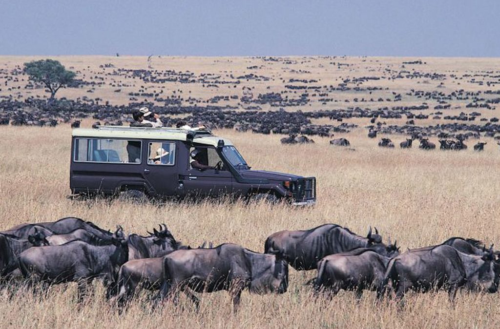 25 Days Safari