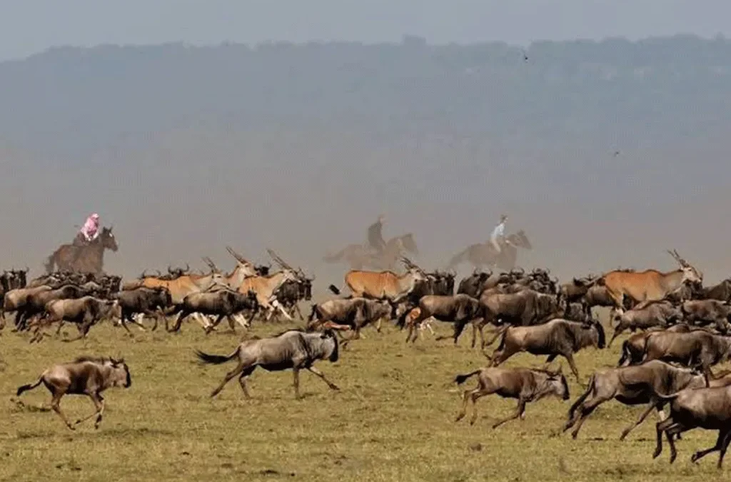 Top safety tips on an East African Safari 2 Top safety tips on an East African safari