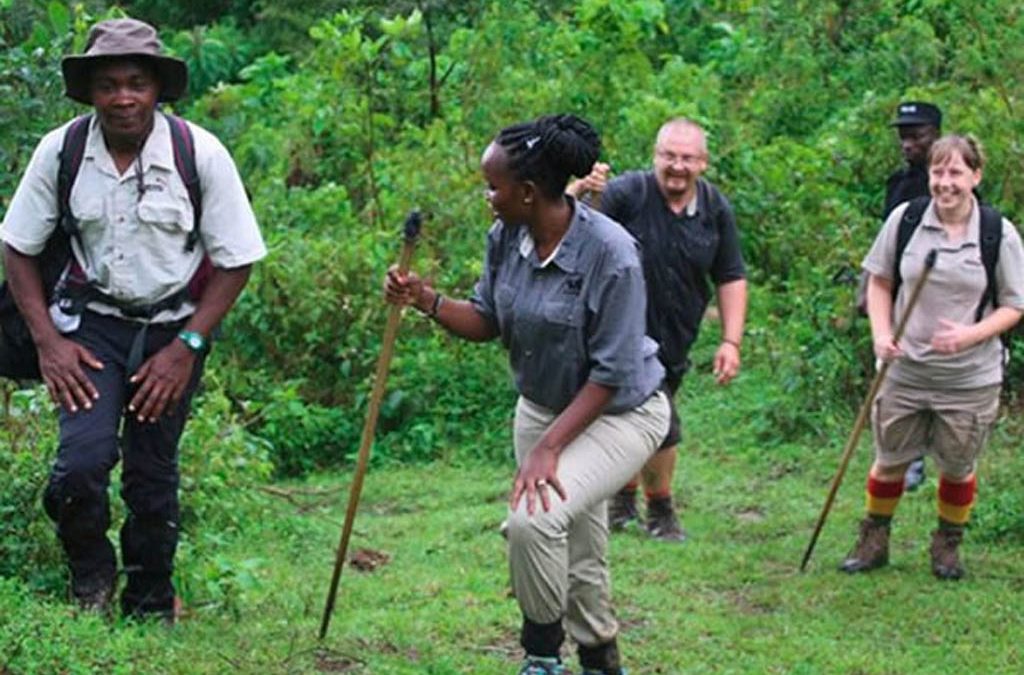 Is it possible to hire gorilla trekking gear in Rwanda