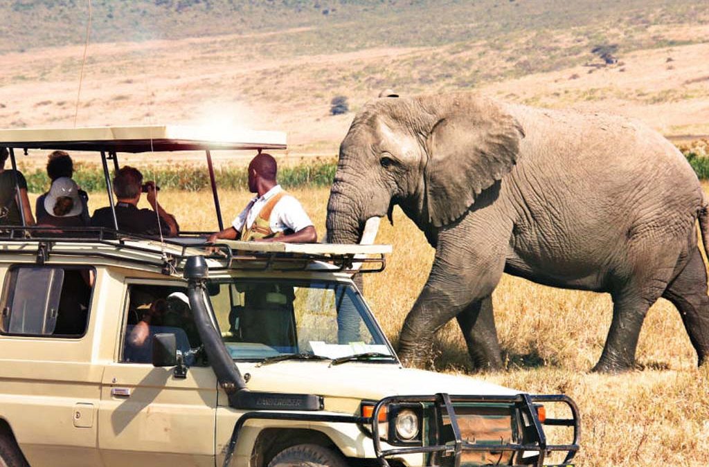 10 Days Tanzania Kenya Uganda gorillas from Kigali 2 10 Days Tanzania Kenya Uganda gorillas from Kigali