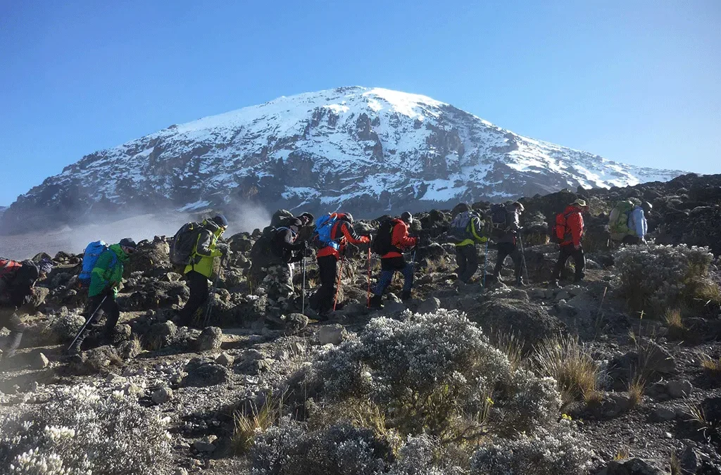 Combined Uganda Gorilla and Kilimanjaro Hiking on a Safari 2 Combined Uganda Gorilla and Kilimanjaro Hiking on a Safari