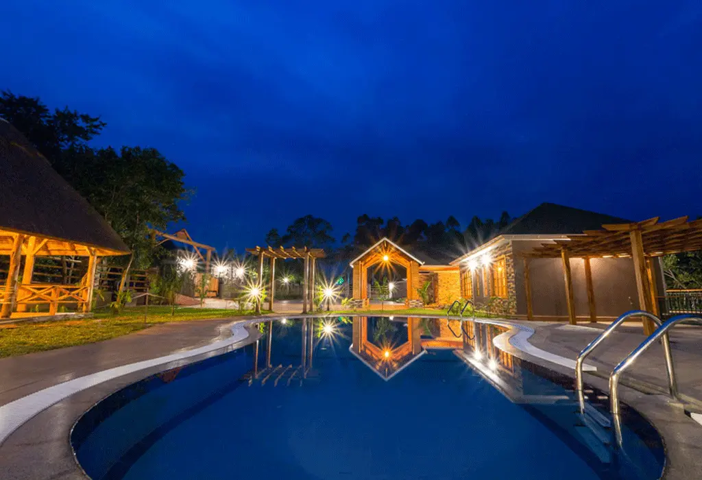 Solo vs Group Chimpanzee Trekking 9 Chimpundu Lodge accommodation near Kibale National Park