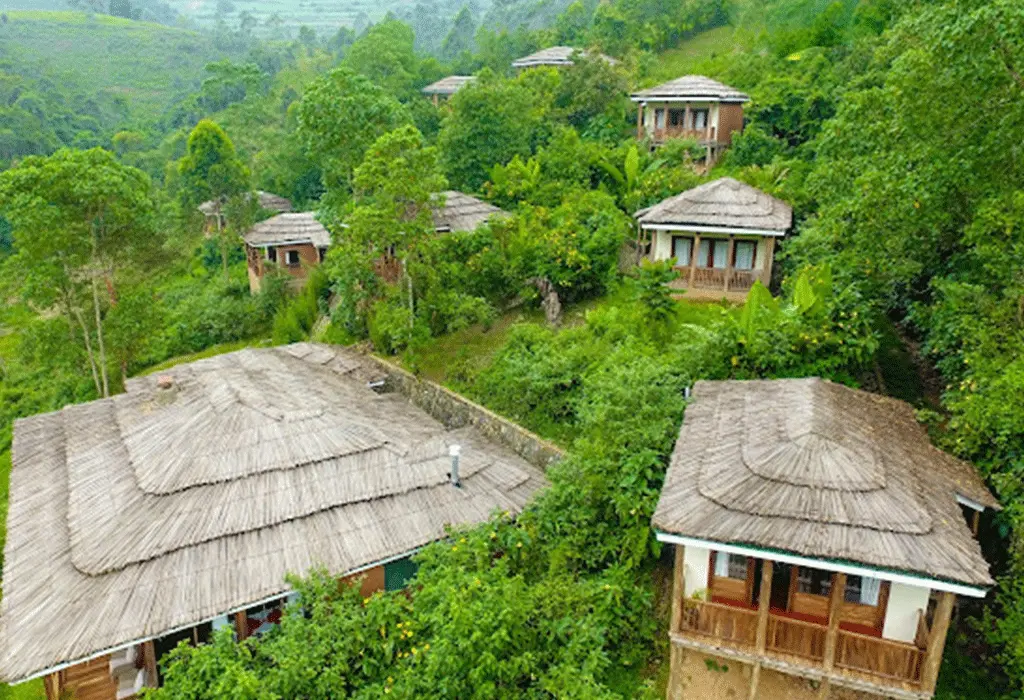 How to Book a Uganda Mountain Gorilla Safari? 9 Four Gorillas Lodge near Rushaga Bwindi for Uganda gorilla trekking