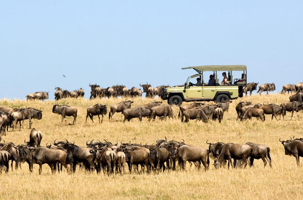 Economic Factors Behind the High Costs of African Safaris 2 Economic Factors Behind the High Costs of African Safaris