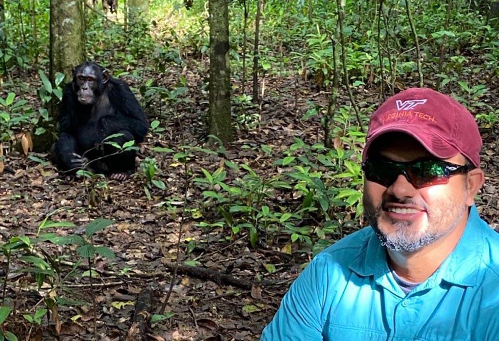 Solo vs Group Chimpanzee Trekking 13 Chimpanzee photography Kibale Uganda