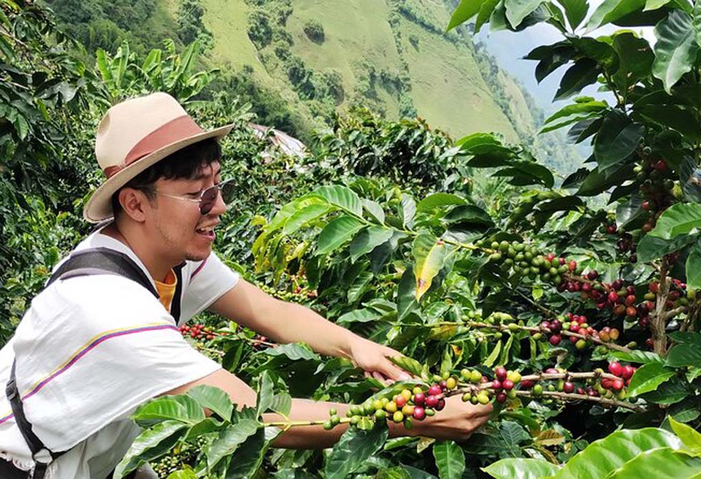 Top things to do in Kigali 15 Rwandan coffee experience in a practical Kigali travel guide
