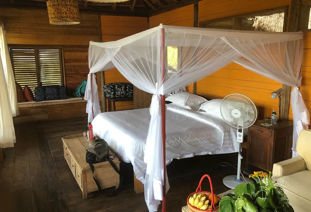 Double Chimpanzee Trekking experience 21 Kyambura Gorge Lodge near Queen Elizabeth National Park Uganda