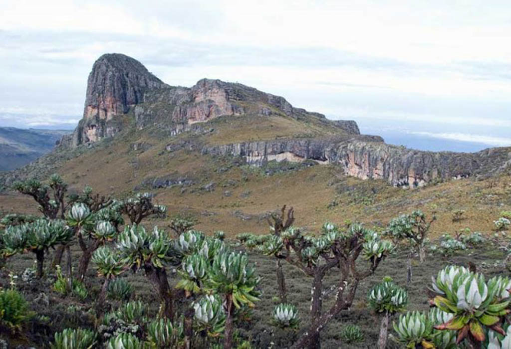 Best Destinations for Tourists in Eastern Uganda 5 Mount Elgon National Park