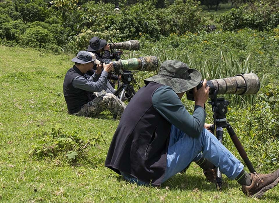 Best Photography Tours in Uganda