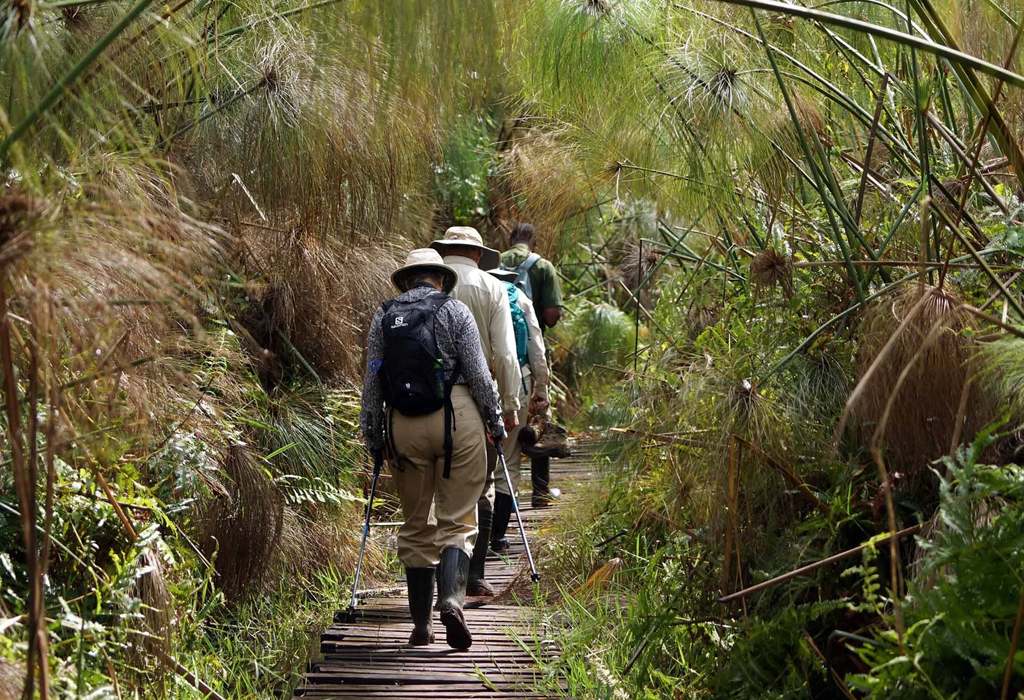 Eco Tourism in Uganda