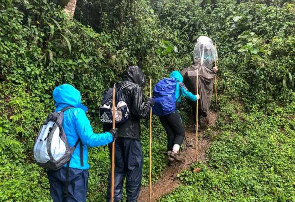 Uganda Safari in the Rainy Season 3 water cloth