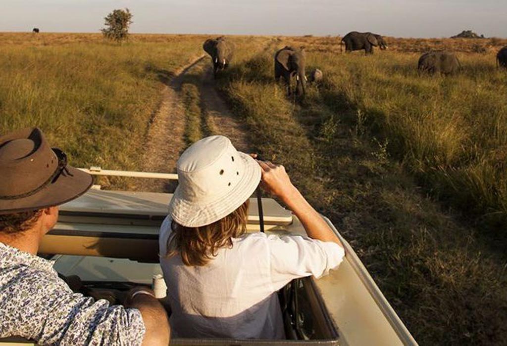 10-Day Uganda and Rwanda Christmas Safari: Festive Gorilla & Wildlife Tour 17 Game drive in Queen Elizabeth National Park Uganda