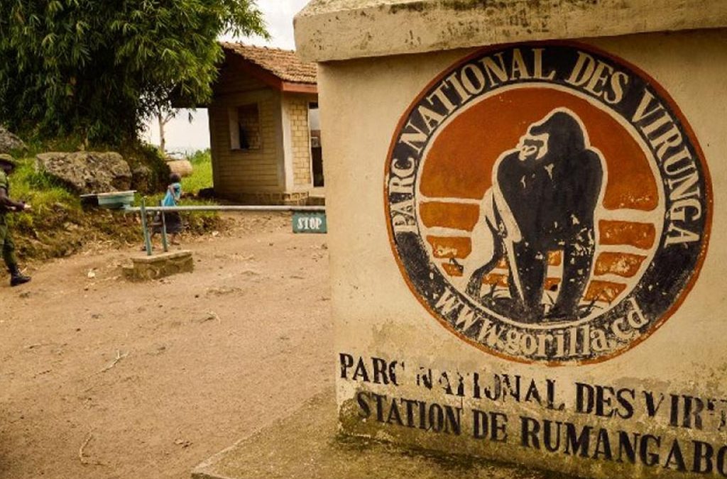 6 Days Virunga Classic 2 4 Days Le Petit Virunga Safari