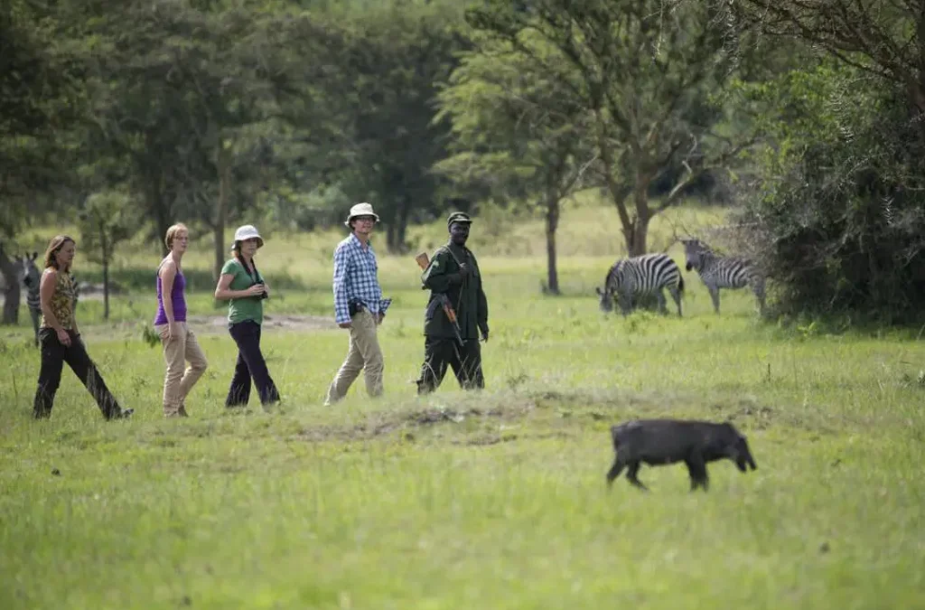 Walking Safaris in Uganda 2 Sustainable Travel Practices in Uganda