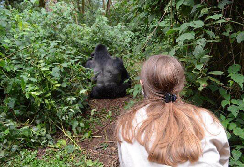 Gorilla trekking with Kids in Uganda and Rwanda 3 in Uganda and Rwanda