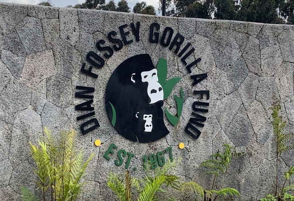 1-Day Gorilla Trek and Dian Fossey Gorilla Fund Tour 5 visit the Dian Fossey Gorilla Fund