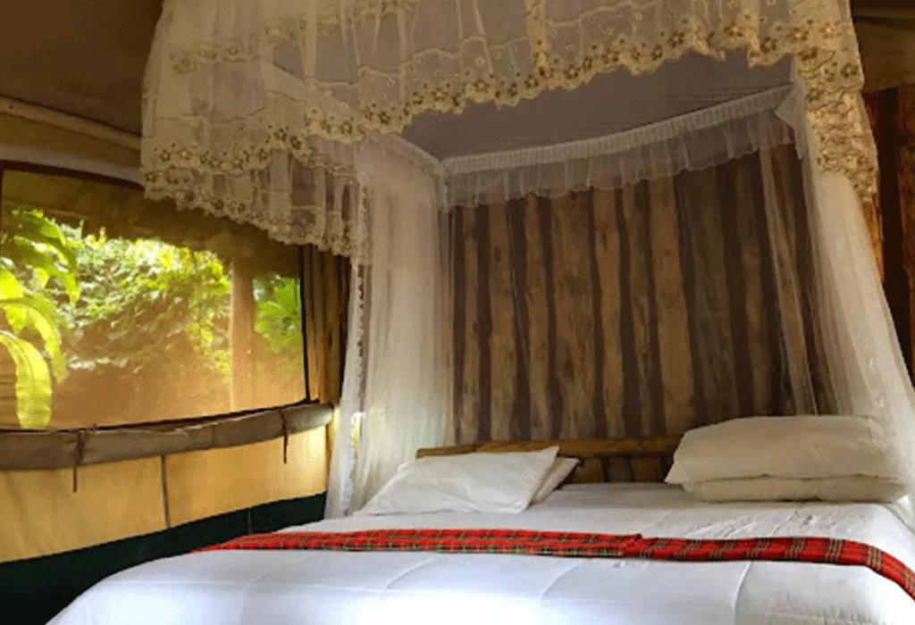 Budget Lodges in Bwindi- Buhoma Community Rest Camp