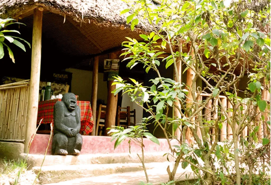 Budget Lodges in Bwindi- Bwindi View bandas