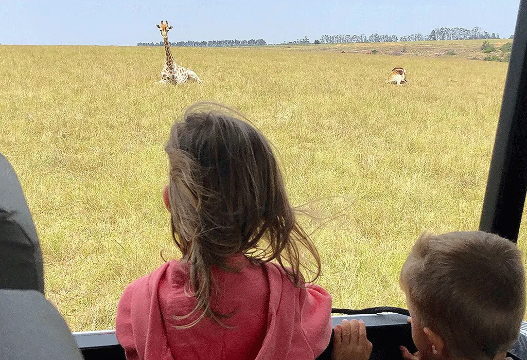 Uganda Safari Activities To Do With Children 9 Children on a Game drive