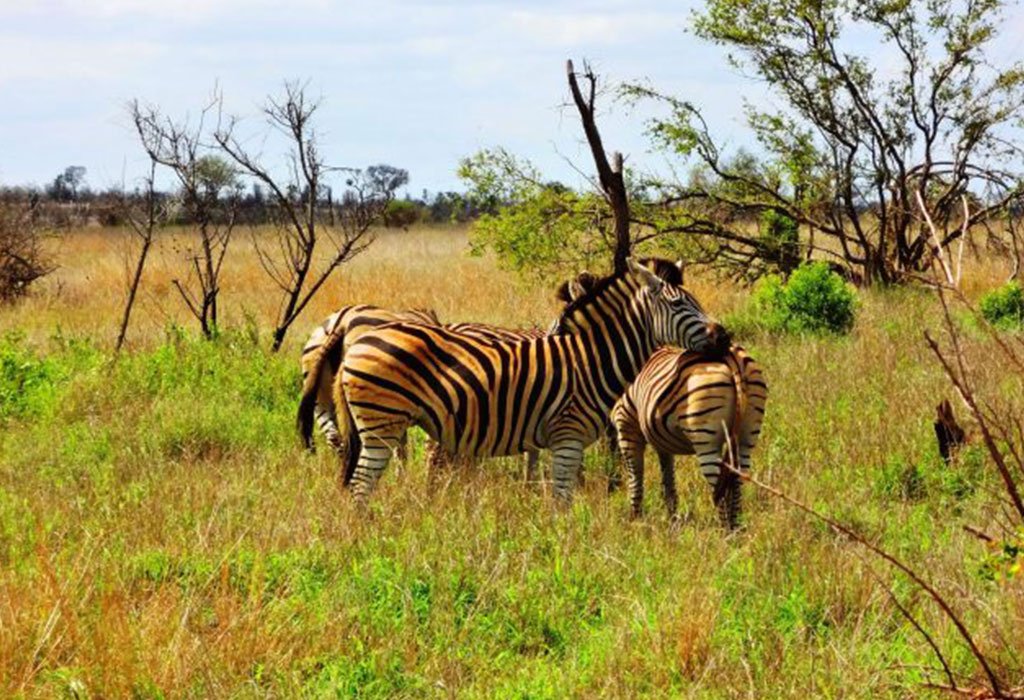 Wildlife Reserves in Uganda 11 Kigezi Wildlife Reserve