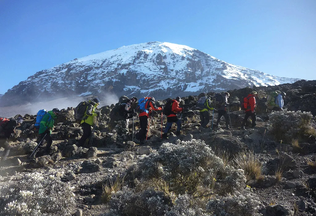 Kilimanjaro
