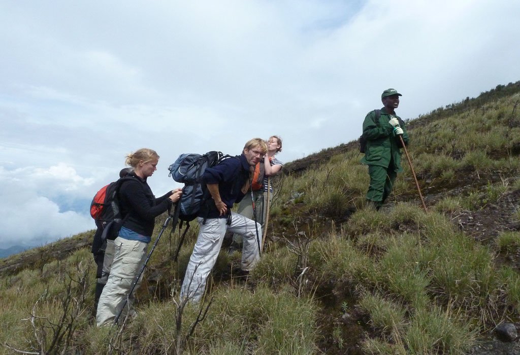 Guided nature walk experience in Rwanda