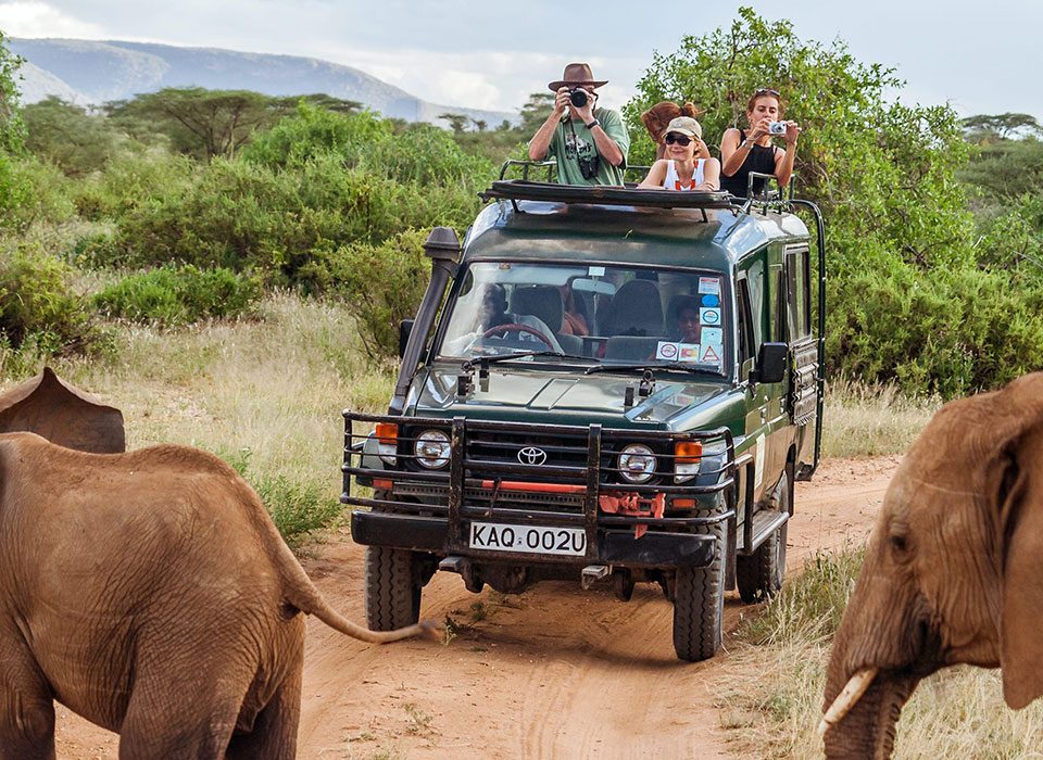 Best Kenya Wildlife Photography Safaris
