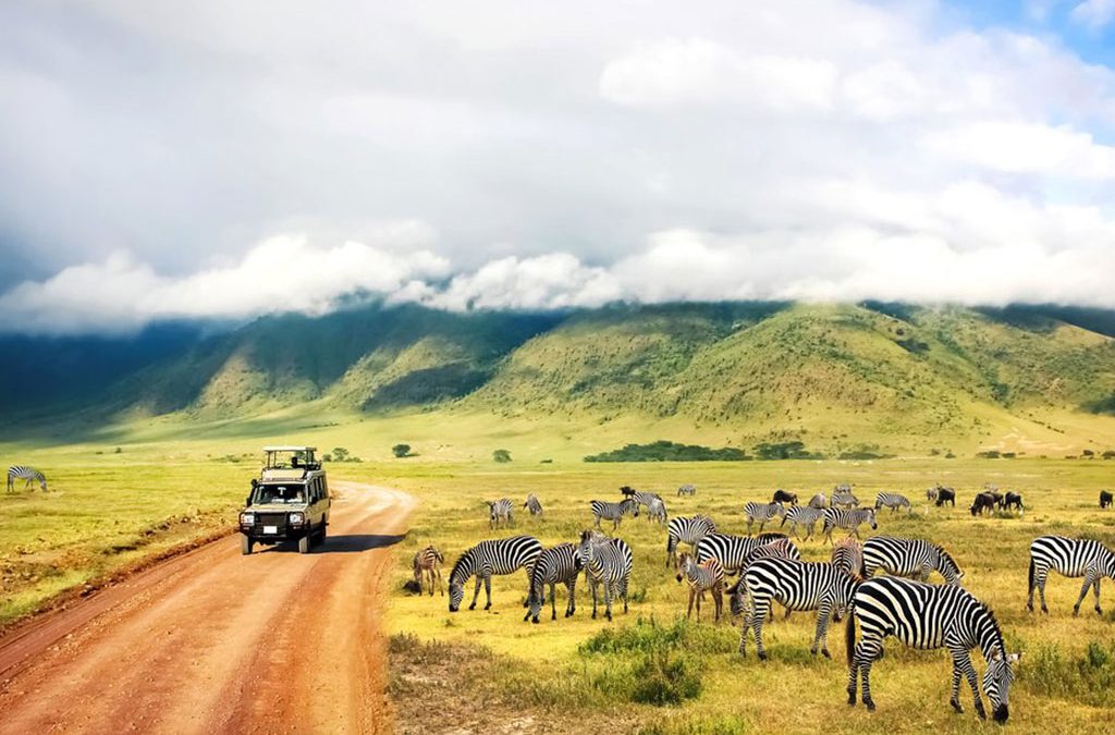 How to Book a Safari in Tanzania Step-by-Step 2 How to Book a Safari in Tanzania Step-by-Step