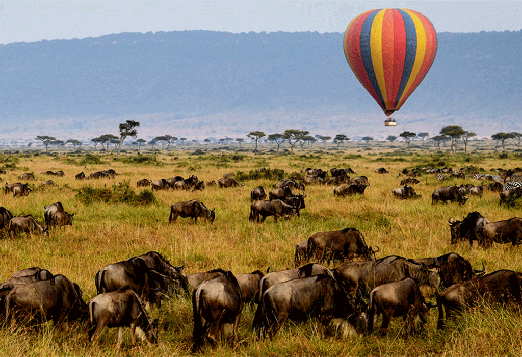 Hot air balloon safari over Serengeti National Park Tanzania