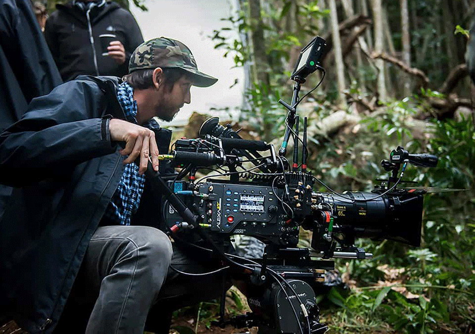 Guide to Filming Gorillas in Mgahinga Gorilla National Park 12 Filming Gorillas
